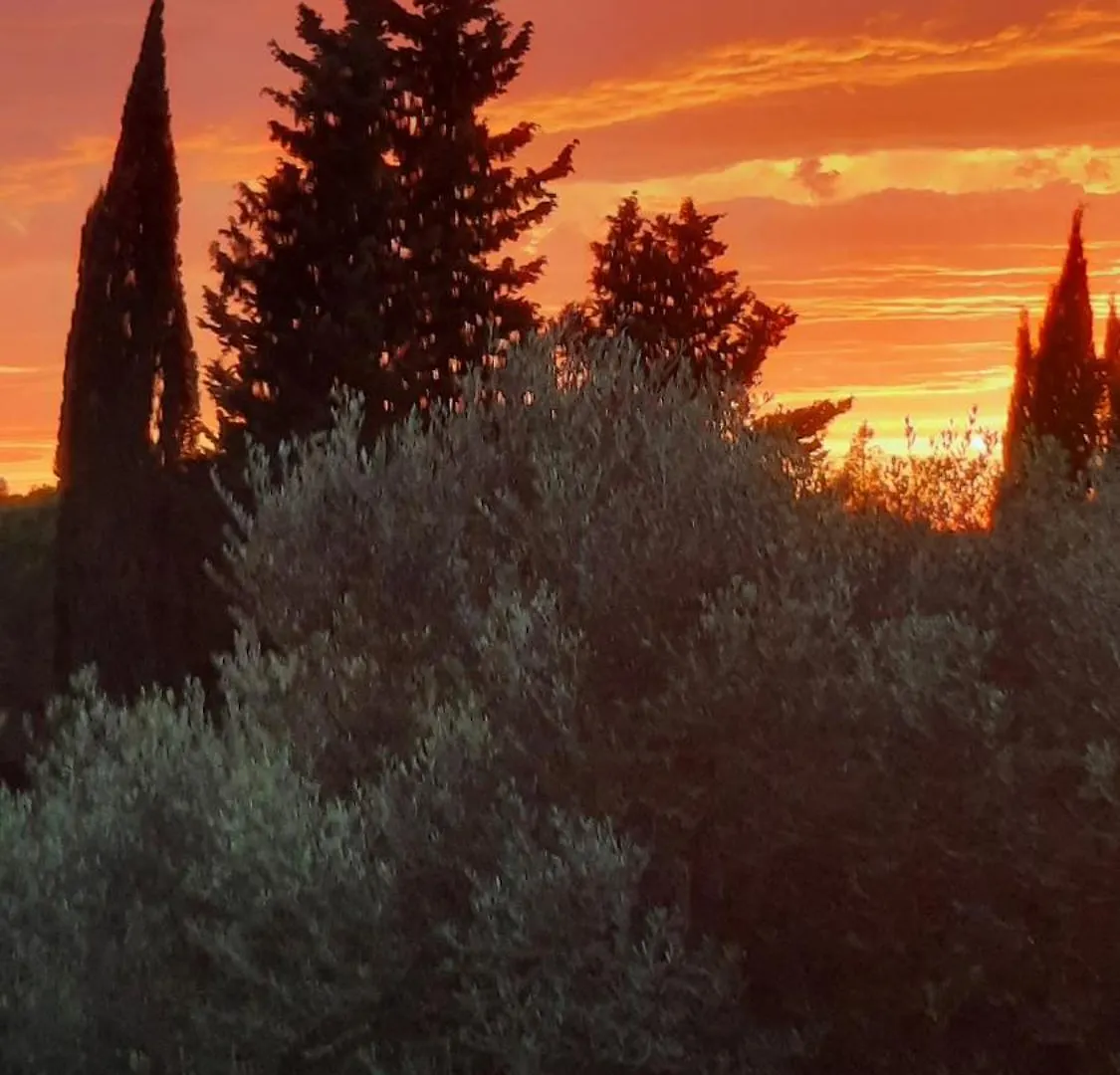 Podere Il Cerrone App Romilda Con Piscina Fauglia