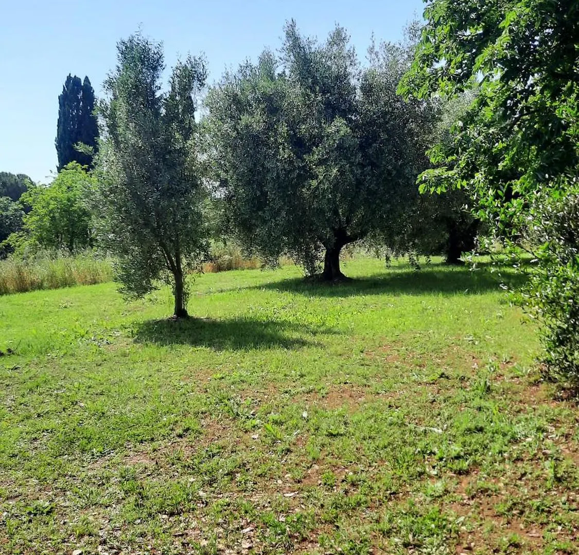 Holiday home Podere Il Cerrone App Romilda Con Piscina Fauglia